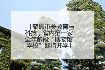 聚焦审美教育与科技，省内第一家全年龄段“博物馆学校”即将开学