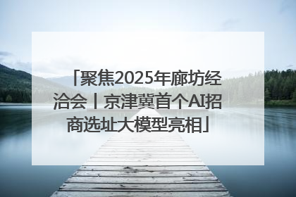聚焦2025年廊坊经洽会丨京津冀首个AI招商选址大模型亮相
