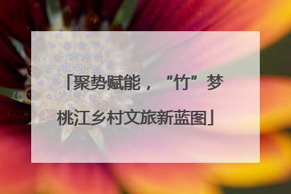 聚势赋能，“竹”梦桃江乡村文旅新蓝图
