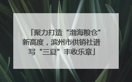 聚力打造“渤海粮仓”新高度，滨州市供销社谱写“三夏”丰收乐章