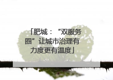 肥城：“双服务圈”让城市治理有力度更有温度