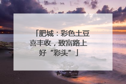 肥城：彩色土豆喜丰收，致富路上好“彩头”