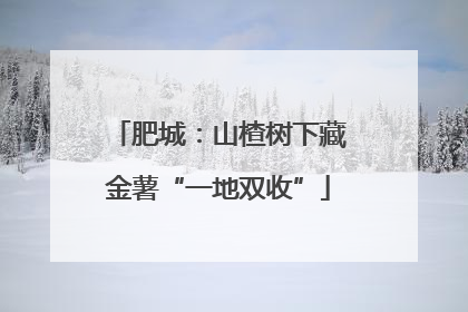 肥城：山楂树下藏金薯“一地双收”