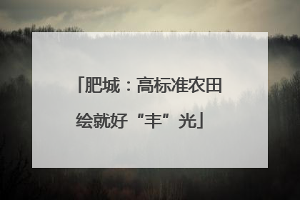 肥城：高标准农田绘就好“丰”光