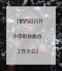 肥西县召开中等职业教育工作大会