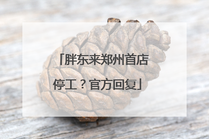 胖东来郑州首店停工？官方回复