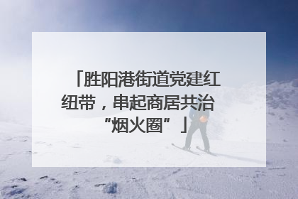 胜阳港街道党建红纽带，串起商居共治 “烟火圈”