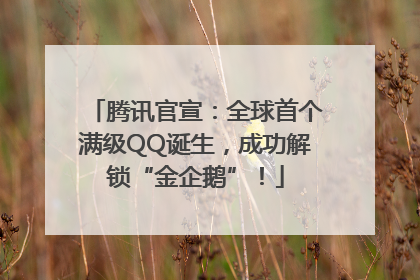 腾讯官宣：全球首个满级QQ诞生，成功解锁“金企鹅”！