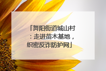 舞阳街道城山村：走进苗木基地，织密反诈防护网