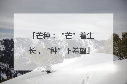 芒种：“芒”着生长，“种”下希望