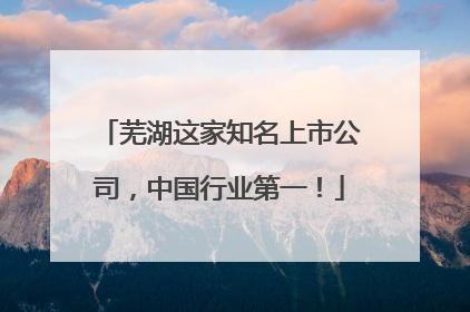 芜湖这家知名上市公司，中国行业第一！