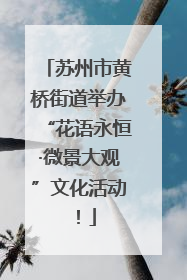 苏州市黄桥街道举办“花语永恒·微景大观”文化活动！
