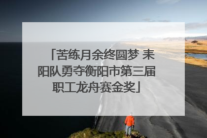 苦练月余终圆梦 耒阳队勇夺衡阳市第三届职工龙舟赛金奖