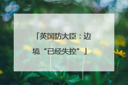 英国防大臣：边境“已经失控”
