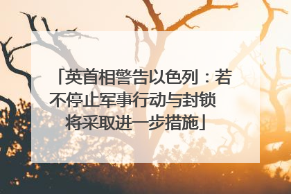 英首相警告以色列：若不停止军事行动与封锁 将采取进一步措施
