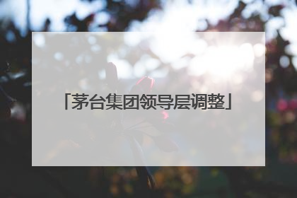 茅台集团领导层调整
