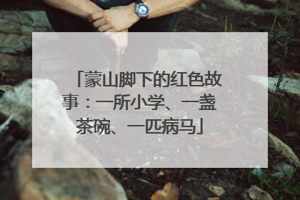 蒙山脚下的红色故事：一所小学、一盏茶碗、一匹病马