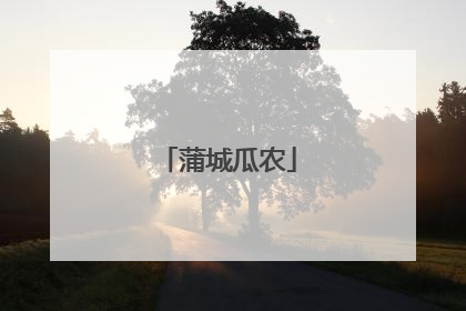 蒲城瓜农