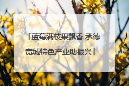 蓝莓满枝果飘香 承德宽城特色产业助振兴