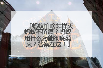 蚂蚁怕啥怎样灭蚂蚁不留痕？蚂蚁用什么药能彻底消灭？答案在这！
