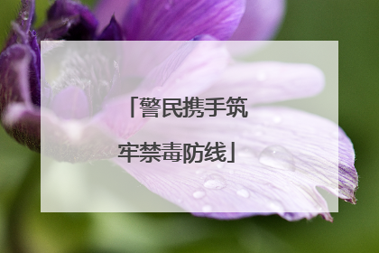 警民携手筑牢禁毒防线