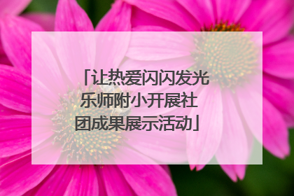 让热爱闪闪发光 乐师附小开展社团成果展示活动