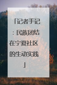记者手记：民族团结在宁夏社区的生动实践