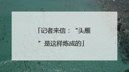 记者来信：“头雁”是这样炼成的