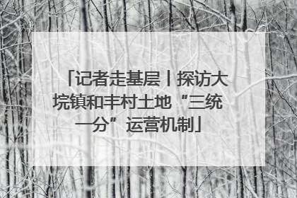 记者走基层丨探访大垸镇和丰村土地“三统一分”运营机制