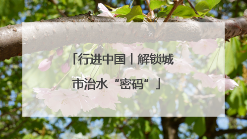 行进中国丨解锁城市治水“密码”