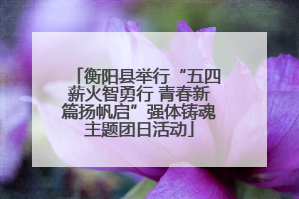 衡阳县举行“五四薪火智勇行 青春新篇扬帆启”强体铸魂主题团日活动