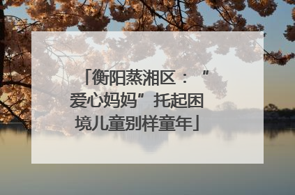 衡阳蒸湘区：“爱心妈妈”托起困境儿童别样童年