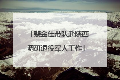 裴金佳带队赴陕西调研退役军人工作