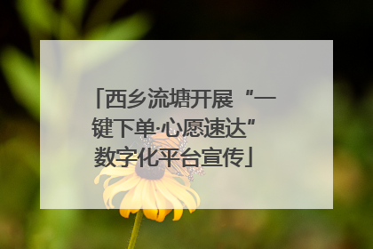 西乡流塘开展“一键下单·心愿速达”数字化平台宣传