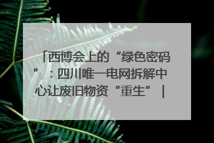 西博会上的“绿色密码”：四川唯一电网拆解中心让废旧物资“重生”｜西博寻“新”记