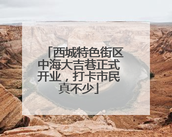 西城特色街区中海大吉巷正式开业，打卡市民真不少