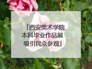 西安美术学院本科毕业作品展吸引民众参观