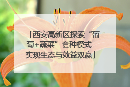 西安高新区探索“葡萄+蔬菜”套种模式 实现生态与效益双赢