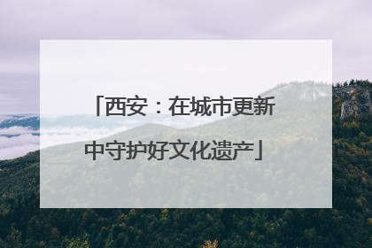 西安：在城市更新中守护好文化遗产