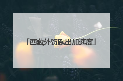 西藏外贸跑出加速度