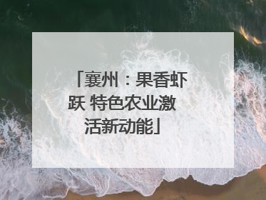 襄州：果香虾跃 特色农业激活新动能