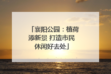 襄阳公园：植荷添新景 打造市民休闲好去处