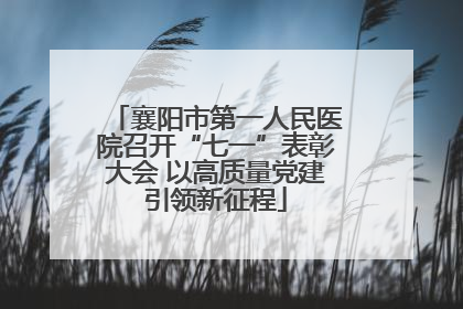 襄阳市第一人民医院召开“七一”表彰大会 以高质量党建引领新征程