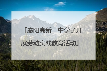 襄阳高新一中学子开展劳动实践教育活动