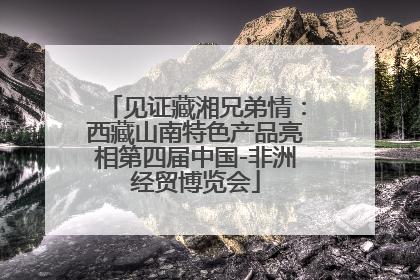 见证藏湘兄弟情：西藏山南特色产品亮相第四届中国-非洲经贸博览会
