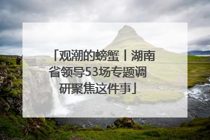 观潮的螃蟹丨湖南省领导53场专题调研聚焦这件事