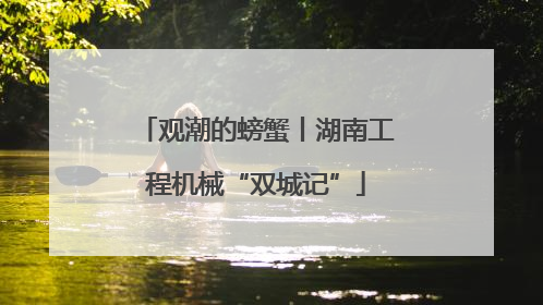 观潮的螃蟹丨湖南工程机械“双城记”