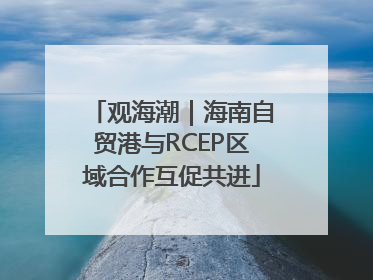 观海潮｜海南自贸港与RCEP区域合作互促共进