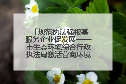 规范执法强根基 服务企业促发展——市生态环境综合行政执法局激活营商环境“绿色动能”