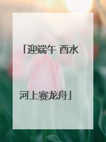 迎端午 酉水河上赛龙舟